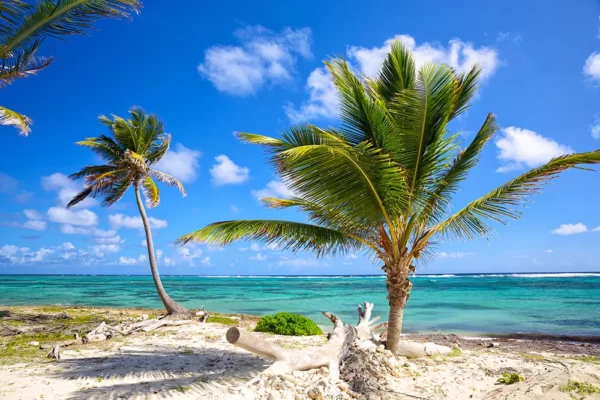 Caribbean - 30 Days - Unlimited